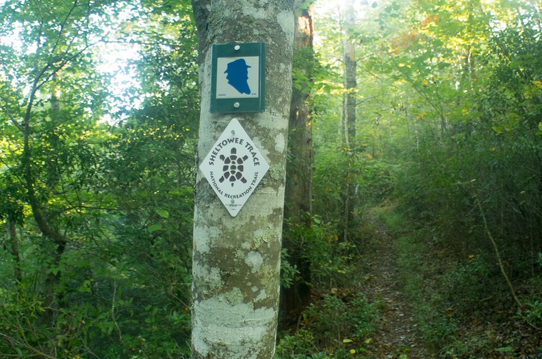 New ST Trail.jpg